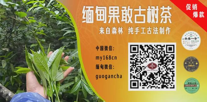 激动挥拳欢呼！美网4日，郑钦文2 1挺进32强 116决赛对手已确定！
