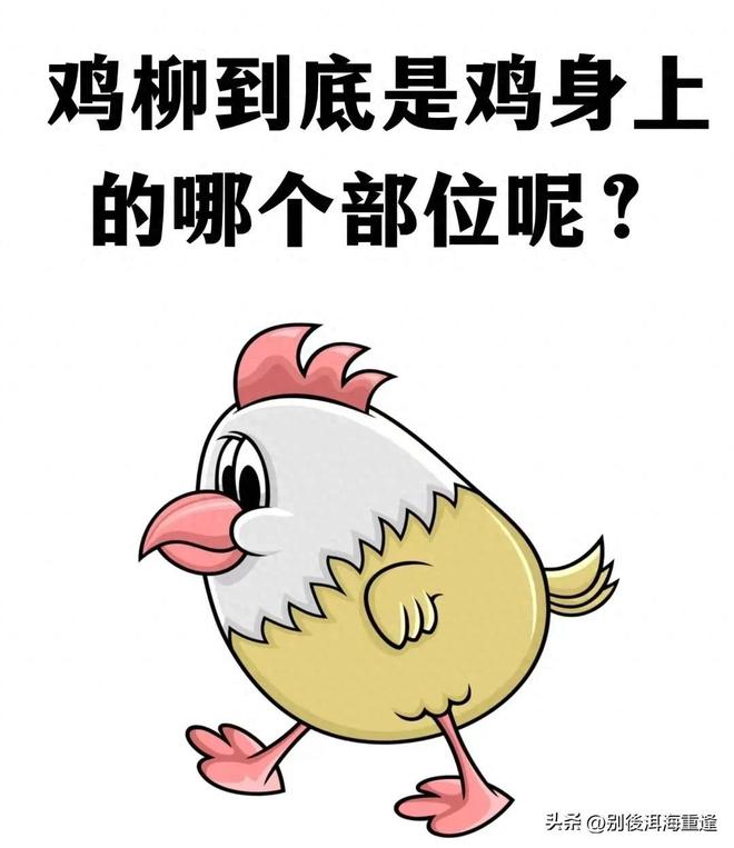 意外！申花久违的外援有可能在下一周复出亮相，深受斯卢茨基器重