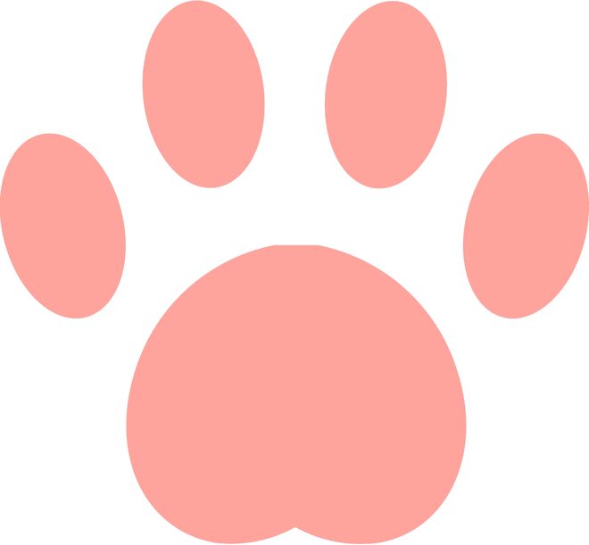 正式官宣离婚!这对模范夫妻的瓜也太猛了