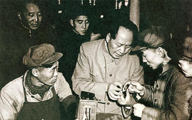 全球首个！他靠猪肾续命了9个月，后来不得不摘除，最新进展来了