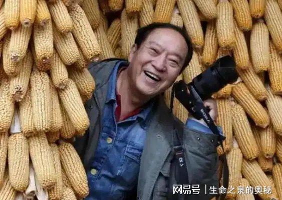 官方：前河南队外援卡多索加盟浙江，上赛季代表河南攻入14球