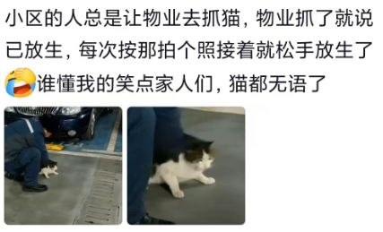 “孙子非亲生”案舆论持续升级！报失踪就能强制DNA，网友抛出妙招，引发争议