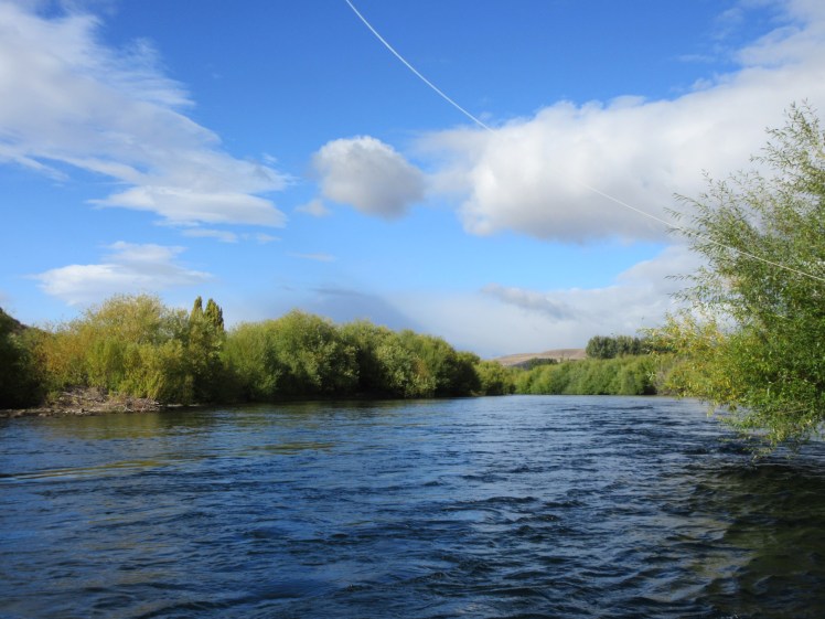 20170406203028_IMG_0046